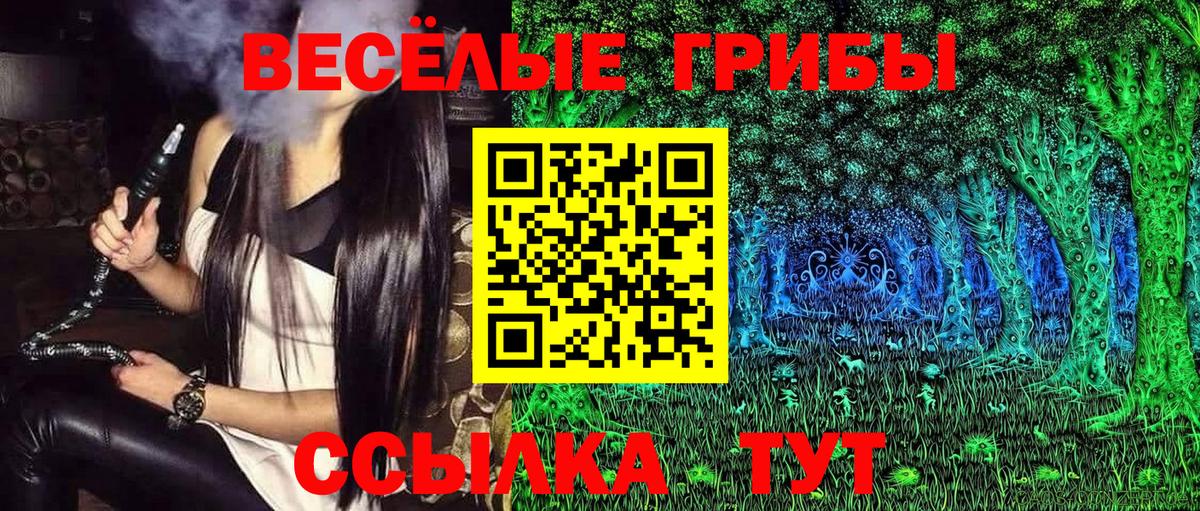Галлюциногенные грибы GOLDEN TEACHER Мичуринск